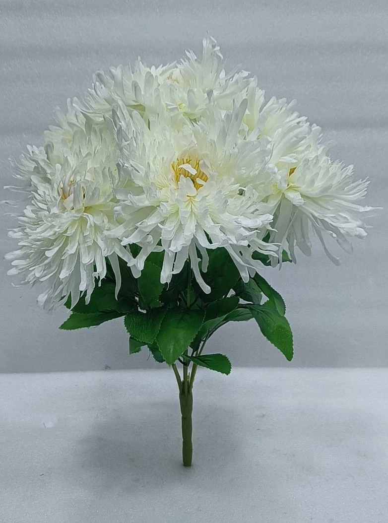 Spider Chrysanthemum Bunch x7